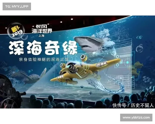 探索网络世界的无限可能与奇妙之旅开启,迈向未知的未来之门 探索网络世界的无限可能与奇妙之旅开启,迈向未知的未来之门
